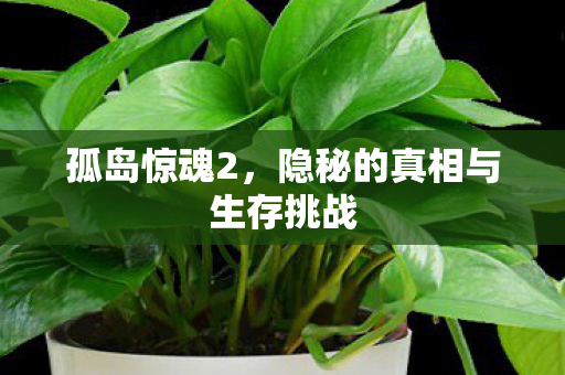孤岛惊魂2，隐秘的真相与生存挑战