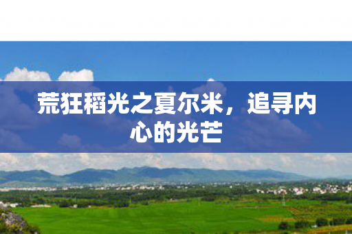 荒狂稻光之夏尔米，追寻内心的光芒