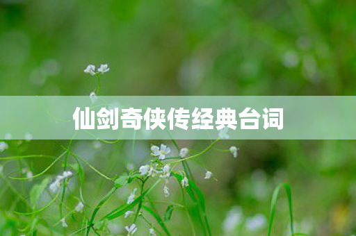 仙剑奇侠传经典台词