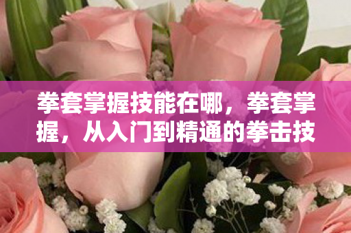 拳套掌握技能在哪,拳套掌握,从入门到精通的拳击技巧解析 拳套掌握技能在哪,拳套掌握,从入门到精通的拳击技巧解析