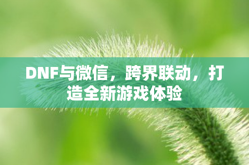 DNF与微信，跨界联动，打造全新游戏体验