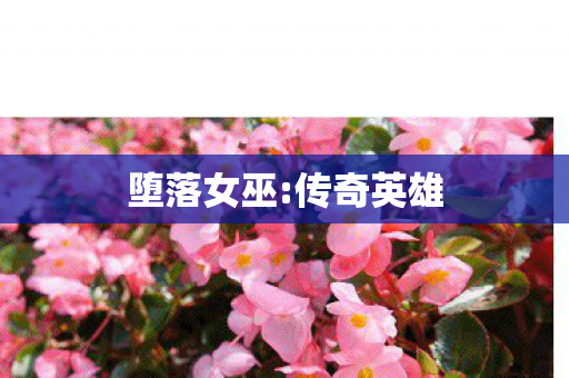 堕落女巫:传奇英雄