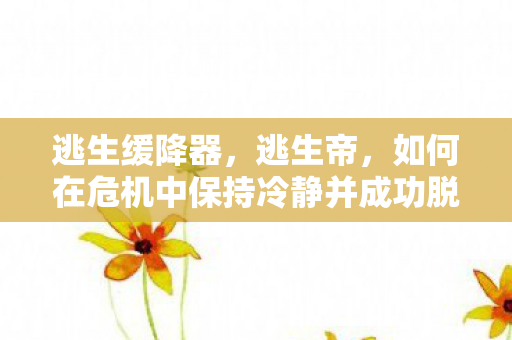 逃生缓降器，逃生帝，如何在危机中保持冷静并成功脱险