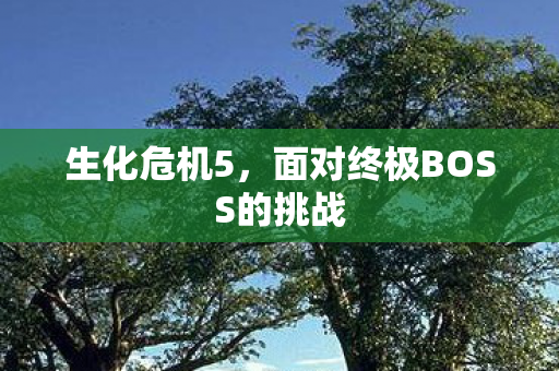 生化危机5，面对终极BOSS的挑战