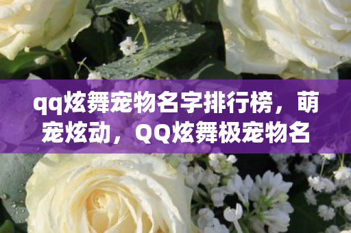 qq炫舞宠物名字排行榜,萌宠炫动,QQ炫舞极宠物名字大赏 qq炫舞宠物名字排行榜,萌宠炫动,QQ炫舞极宠物名字大赏