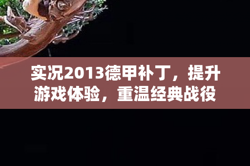 实况2013德甲补丁，提升游戏体验，重温经典战役