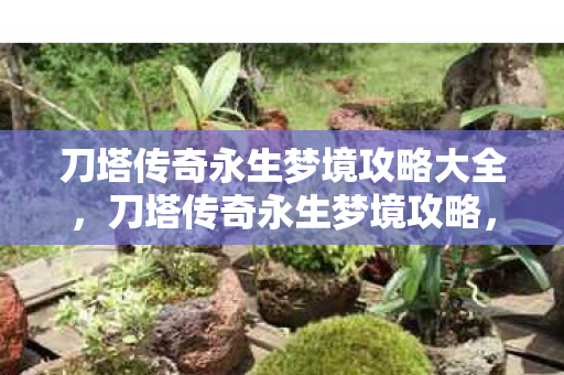 刀塔传奇永生梦境攻略大全，刀塔传奇永生梦境攻略，解锁无尽挑战，成就传奇之旅