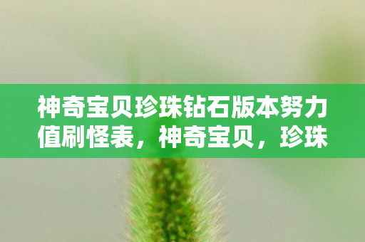 神奇宝贝珍珠钻石版本努力值刷怪表，神奇宝贝，珍珠钻石版——探索宝可梦世界的奇幻之旅