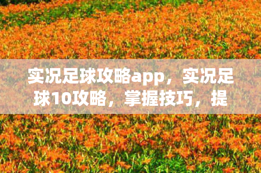 实况足球攻略app，实况足球10攻略，掌握技巧，提升球技