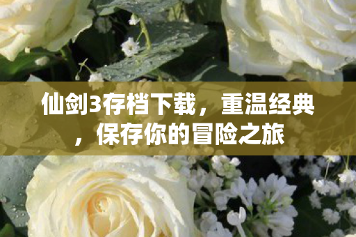 仙剑3存档下载，重温经典，保存你的冒险之旅