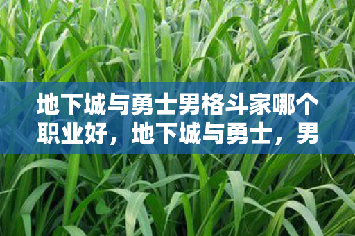 地下城与勇士男格斗家哪个职业好，地下城与勇士，男格斗的崛起与魅力