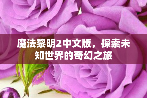 魔法黎明2中文版，探索未知世界的奇幻之旅