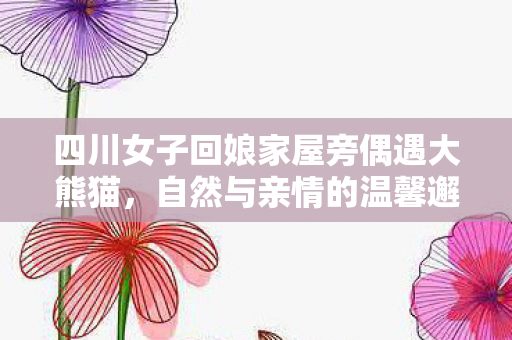 四川女子回娘家屋旁偶遇大熊猫，自然与亲情的温馨邂逅