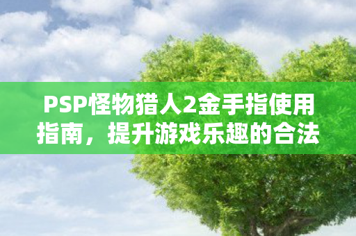 PSP怪物猎人2金手指使用指南图片