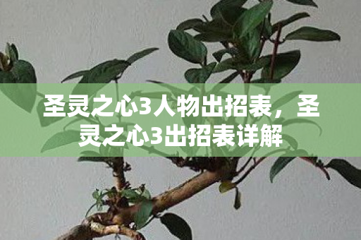 圣灵之心3人物出招表，圣灵之心3出招表详解