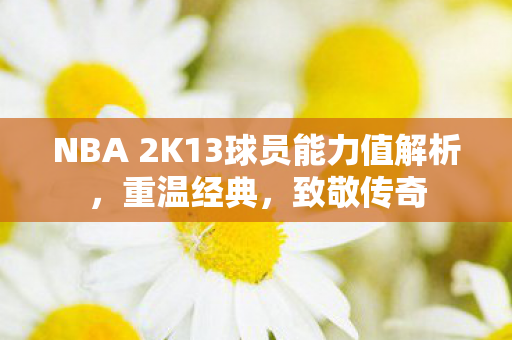 NBA 2K13球员能力值解析，重温经典，致敬传奇