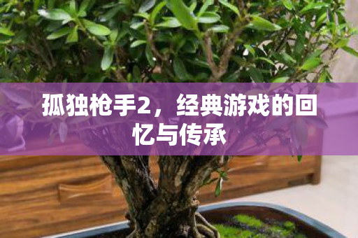 孤独枪手2，经典游戏的回忆与传承