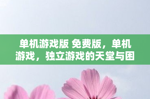单机游戏版 免费版，单机游戏，独立游戏的天堂与困境