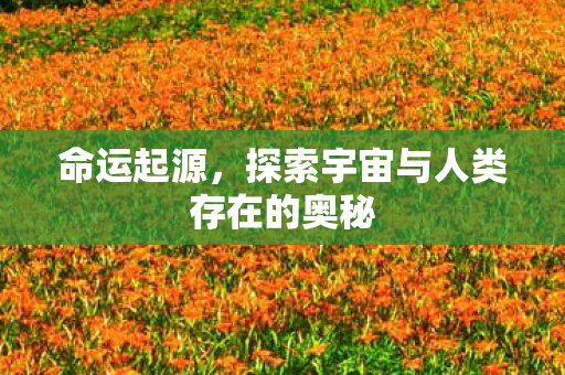 命运起源，探索宇宙与人类存在的奥秘