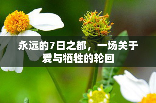 永远的7日之都，一场关于爱与牺牲的轮回