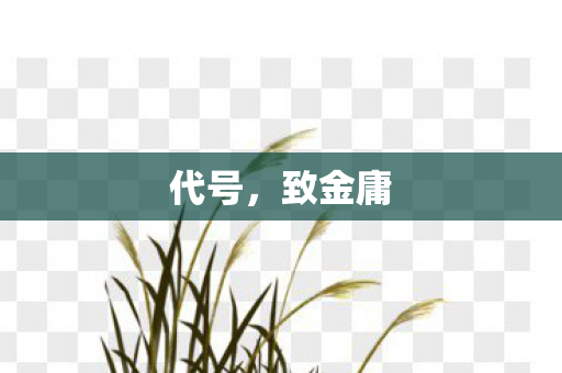 代号，致金庸