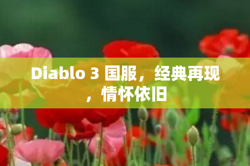 Diablo 3 国服，经典再现，情怀依旧