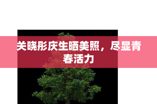 关晓彤庆生晒美照，尽显青春活力