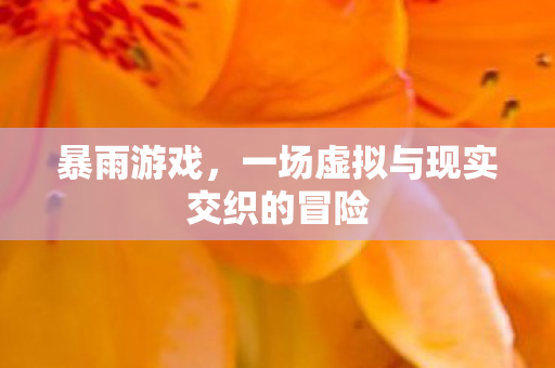 暴雨游戏，一场虚拟与现实交织的冒险