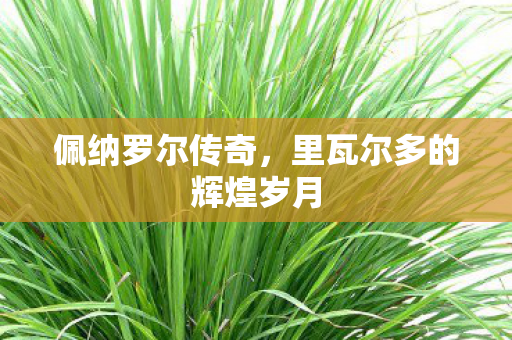 佩纳罗尔传奇，里瓦尔多的辉煌岁月
