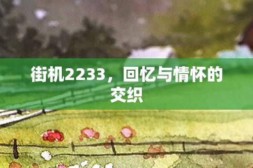 街机2233，回忆与情怀的交织