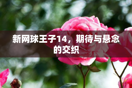 新网球王子14，期待与悬念的交织