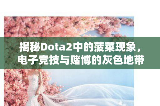 揭秘Dota2中的菠菜现象,电子竞技与赌博的灰色地带 揭秘Dota2中的菠菜现象,电子竞技与赌博的灰色地带