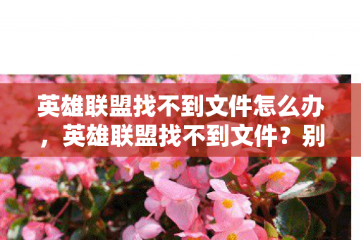 英雄联盟找不到文件怎么办，英雄联盟找不到文件？别急，这里有解决办法！