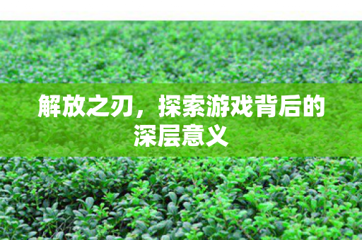 解放之刃，探索游戏背后的深层意义