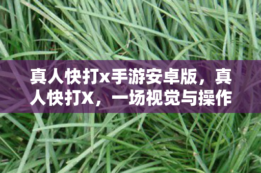 真人快打x手游安卓版，真人快打X，一场视觉与操作的盛宴