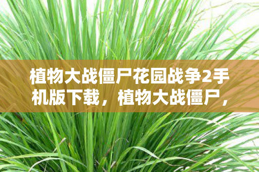 植物大战僵尸花园战争2手机版下载,植物大战僵尸,花园战争2——一场绿意盎然的战争艺术 植物大战僵尸花园战争2手机版下载,植物大战僵尸,花园战争2——一场绿意盎然的战争艺术