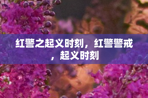 红警之起义时刻，红警警戒，起义时刻