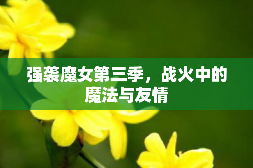 强袭魔女第三季，战火中的魔法与友情