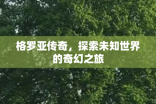 格罗亚传奇，探索未知世界的奇幻之旅