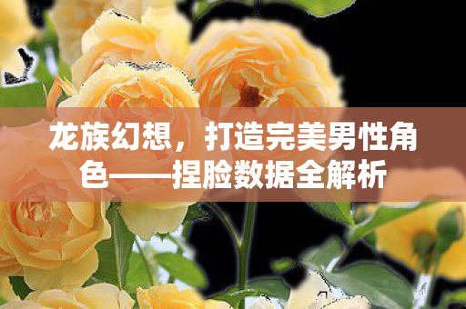 龙族幻想，打造完美男性角色——捏脸数据全解析