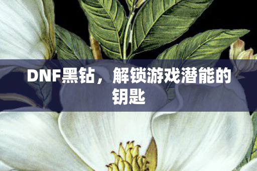 DNF黑钻,解锁游戏潜能的钥匙 DNF黑钻,解锁游戏潜能的钥匙