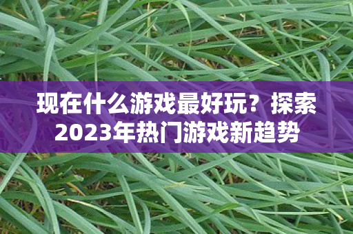 现在什么游戏最好玩？探索2023年热门游戏新趋势