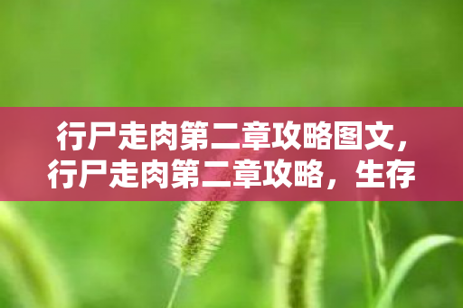 行尸走肉第二章攻略图文，行尸走肉第二章攻略，生存与选择的双重考验
