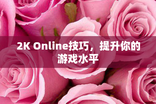 2K Online技巧，提升你的游戏水平