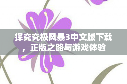 探究究极风暴3中文版下载，正版之路与游戏体验