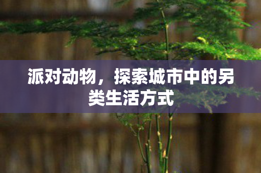 派对动物，探索城市中的另类生活方式