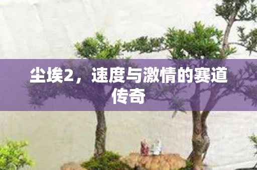速度与激情的赛道传奇图片
