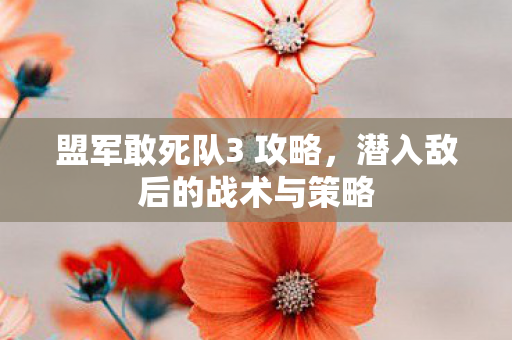 盟军敢死队3 攻略，潜入敌后的战术与策略