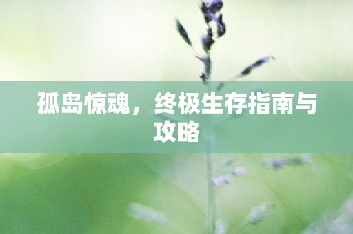 孤岛惊魂，终极生存指南与攻略