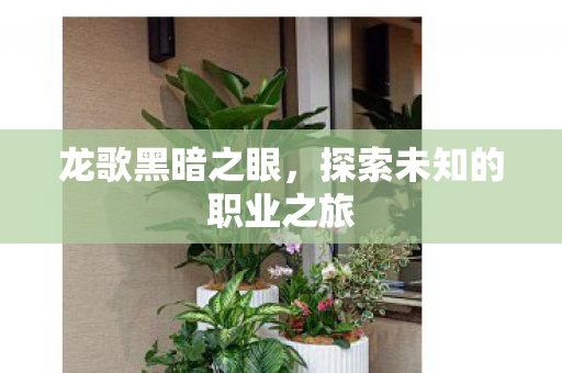 龙歌黑暗之眼，探索未知的职业之旅